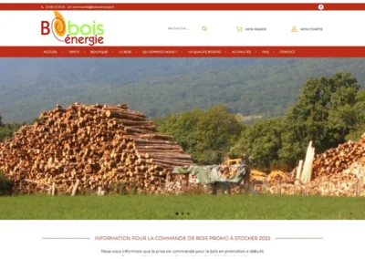 Réalisation du site Bobois Energie